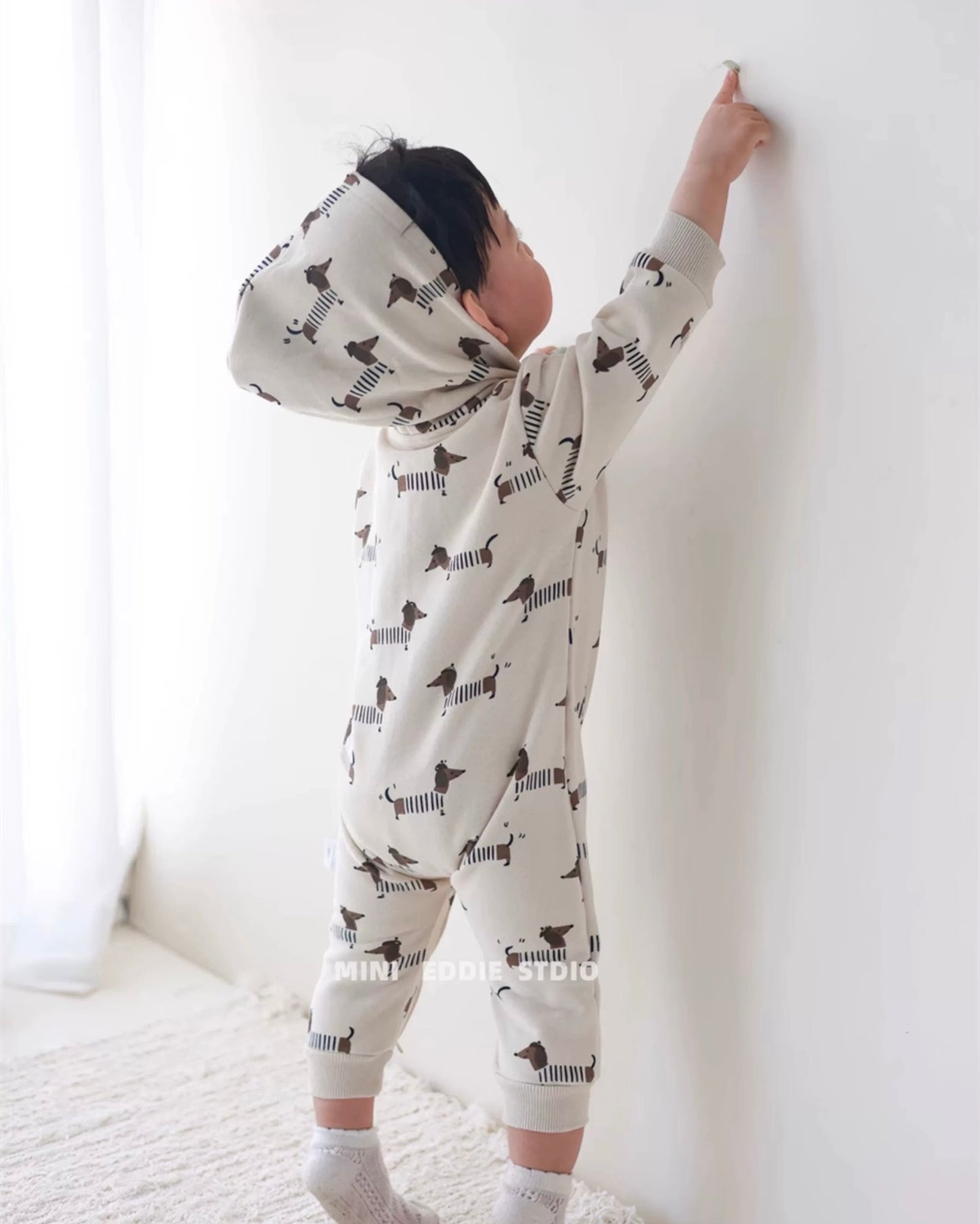 Dachshund Printed Zipped Long Sleeve Baby Jumpsuits